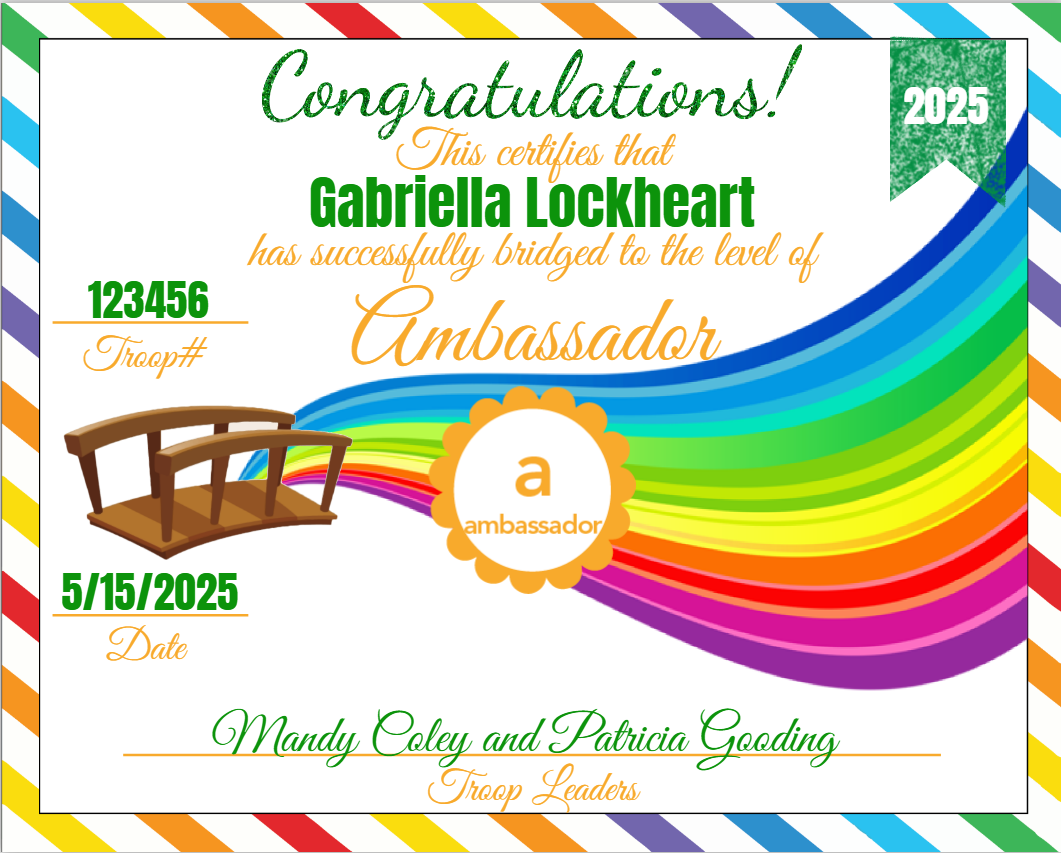 GS Bridging Certificate - Ambassador