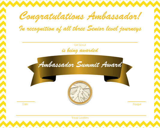 Girl Scout Summit Award - Ambassador