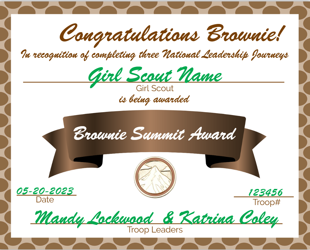 Girl Scout Summit Award - Brownie