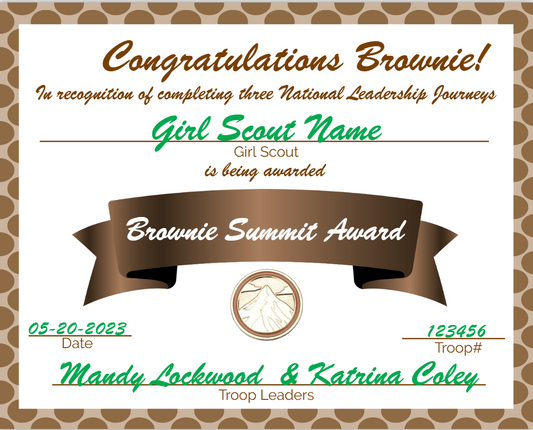 Girl Scout Summit Award - Brownie
