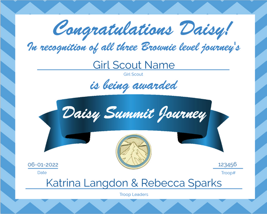 Girl Scout Summit Award - Daisy