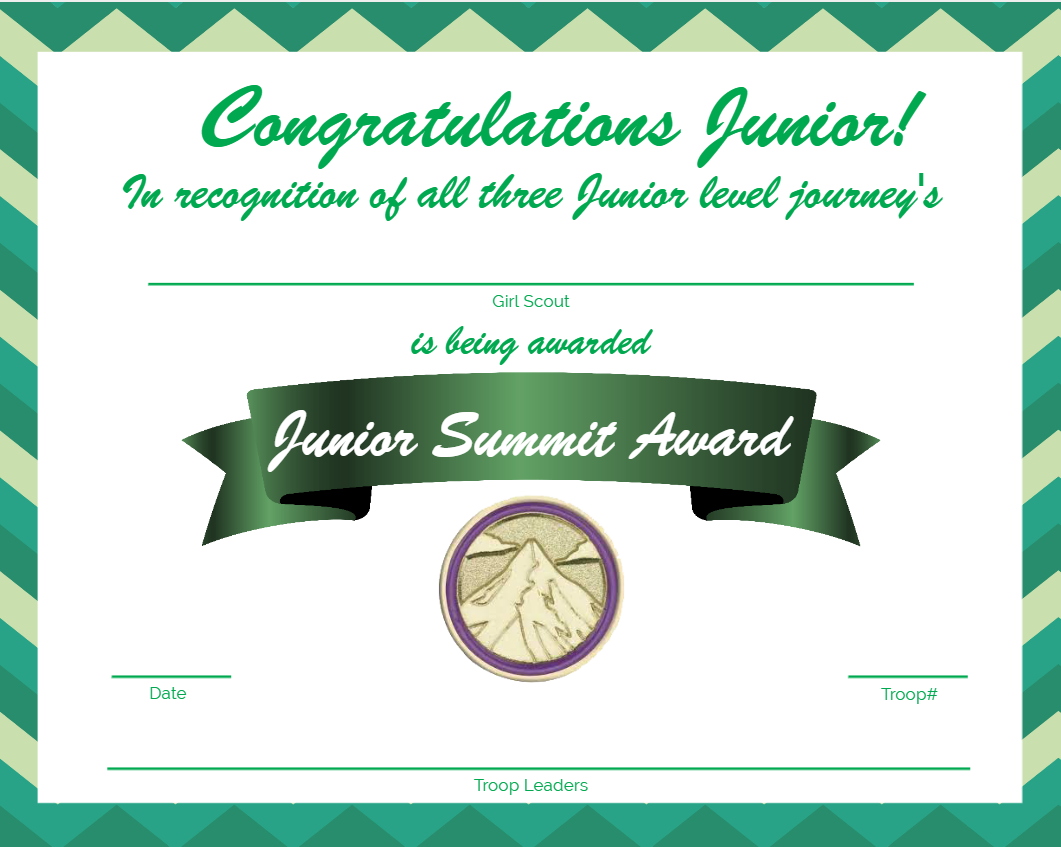 Girl Scout Summit Award - Junior