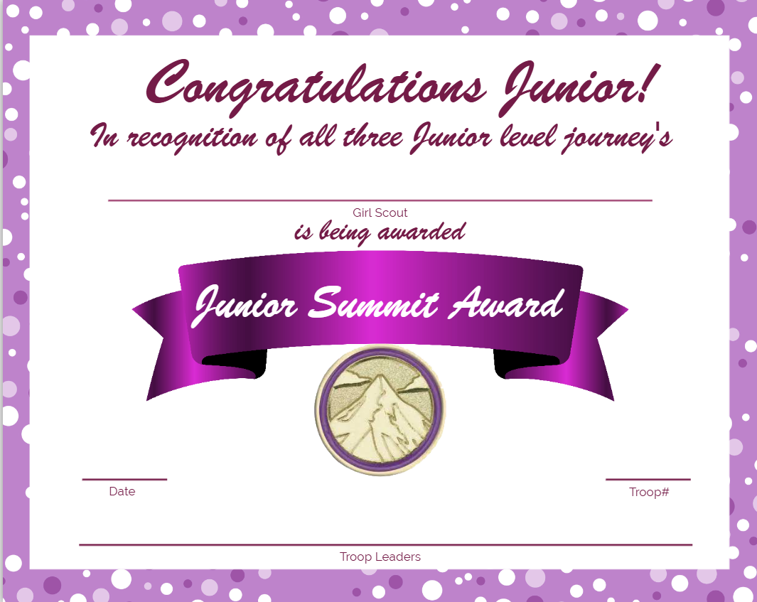 Girl Scout Summit Award - Junior