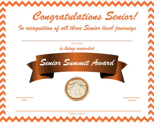 Girl Scout Summit Award Certificate